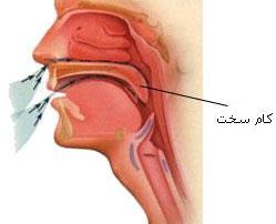 چگونگی ایجاد صدا و اندام های صداساز