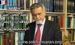 پروفسور سید حسن امین